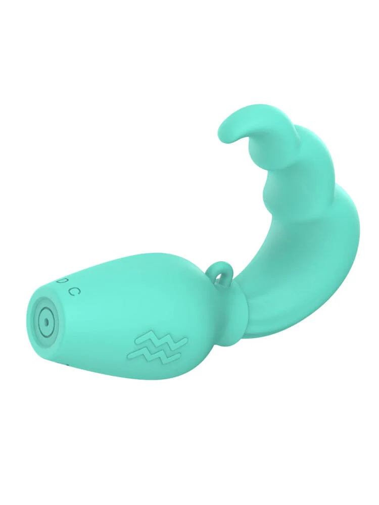 Aquarius Mini Vibe - Image 2