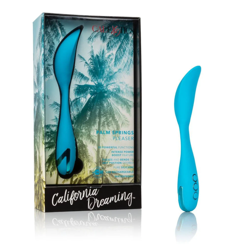 California Dreaming Palm Springs Pleaser - Image 4