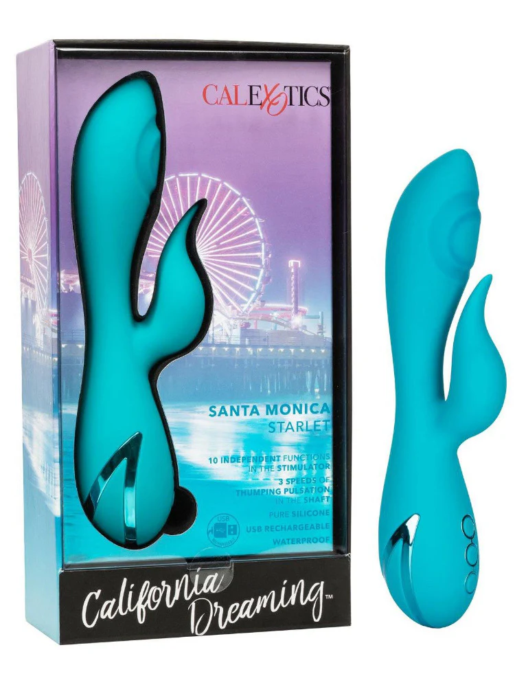 California Dreaming: Santa Monica Starlet - Image 3