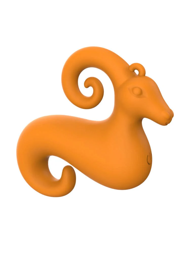 Capricorn Mini Vibe - Image 2