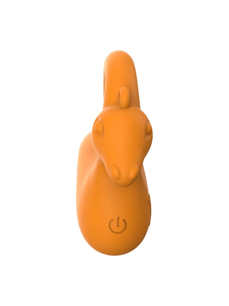 Capricorn Mini Vibe - Image 3
