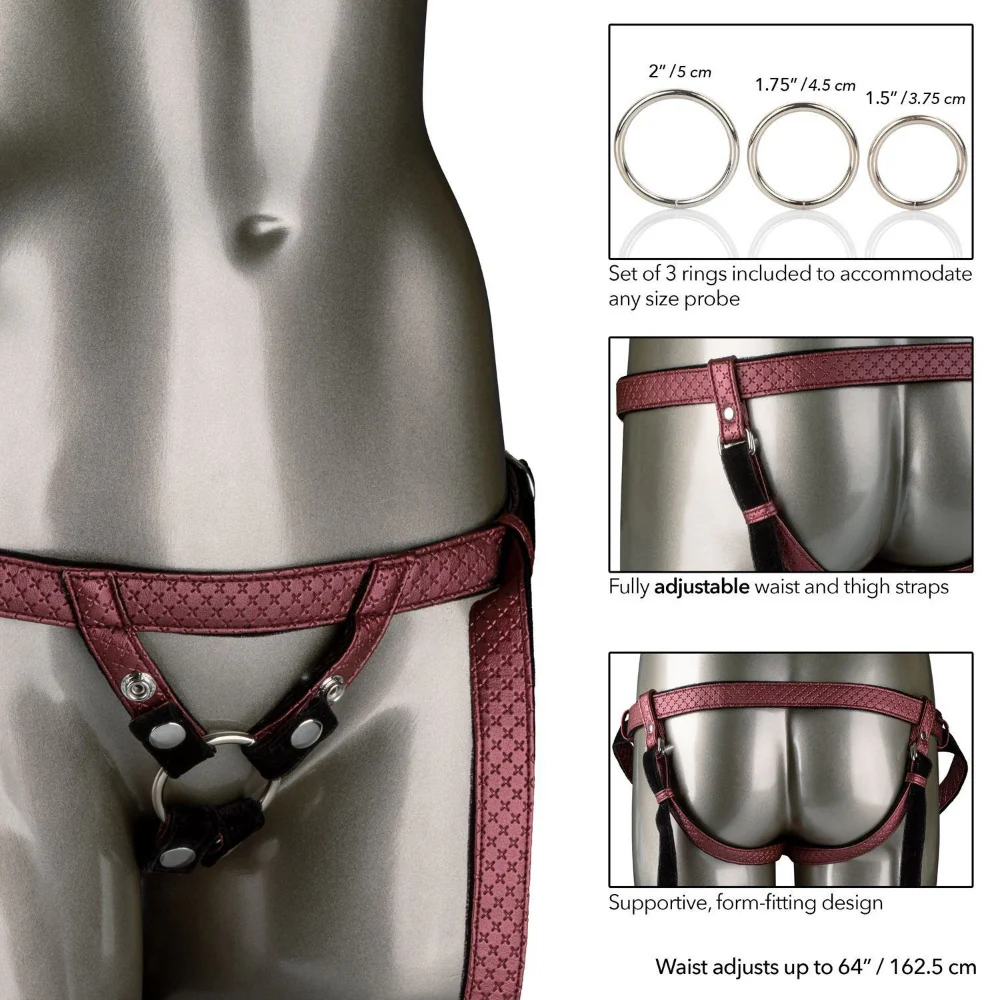 Her Royal Harness The Regal Duchess - Image 2