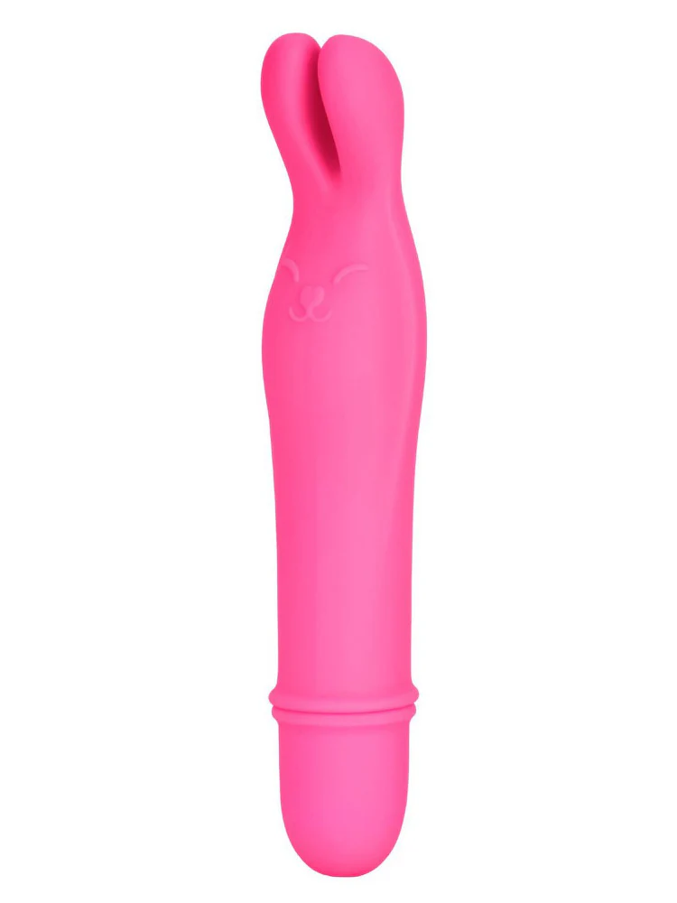 Shane’s World Bedtime Bunny Vibrator